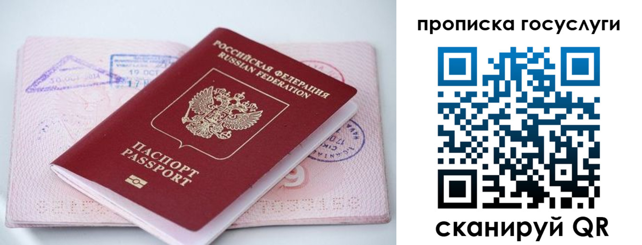 прописка законно в Новгородской области